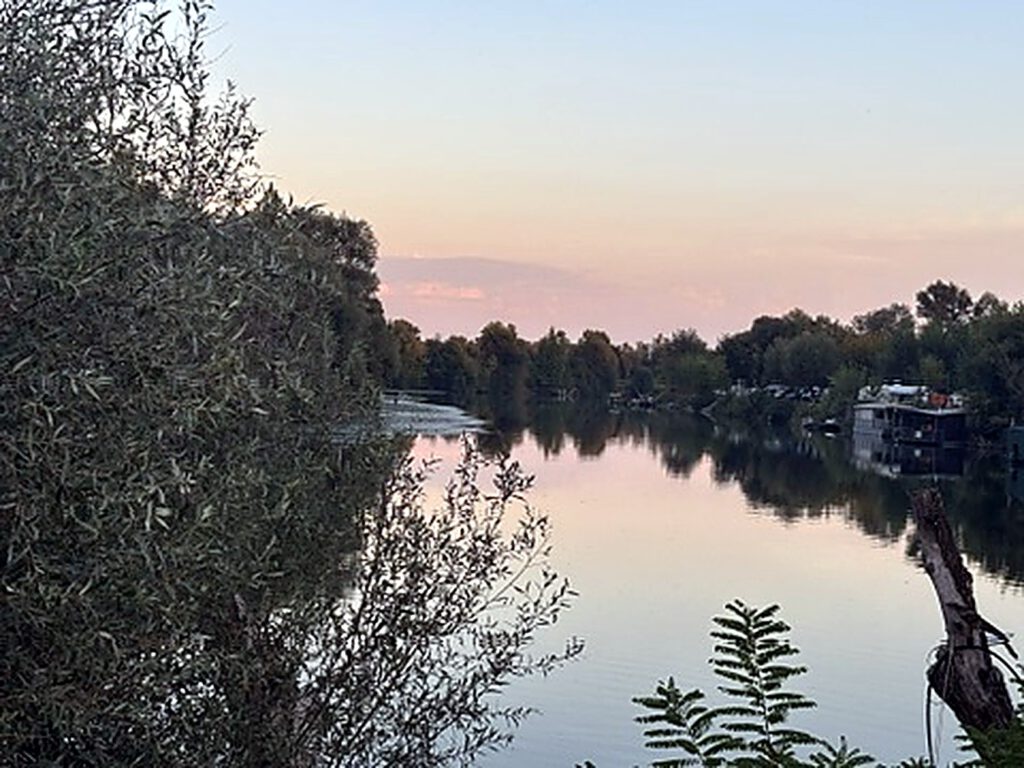 Abendstimmung am Fluss, gerahmt von Olivenzweigen