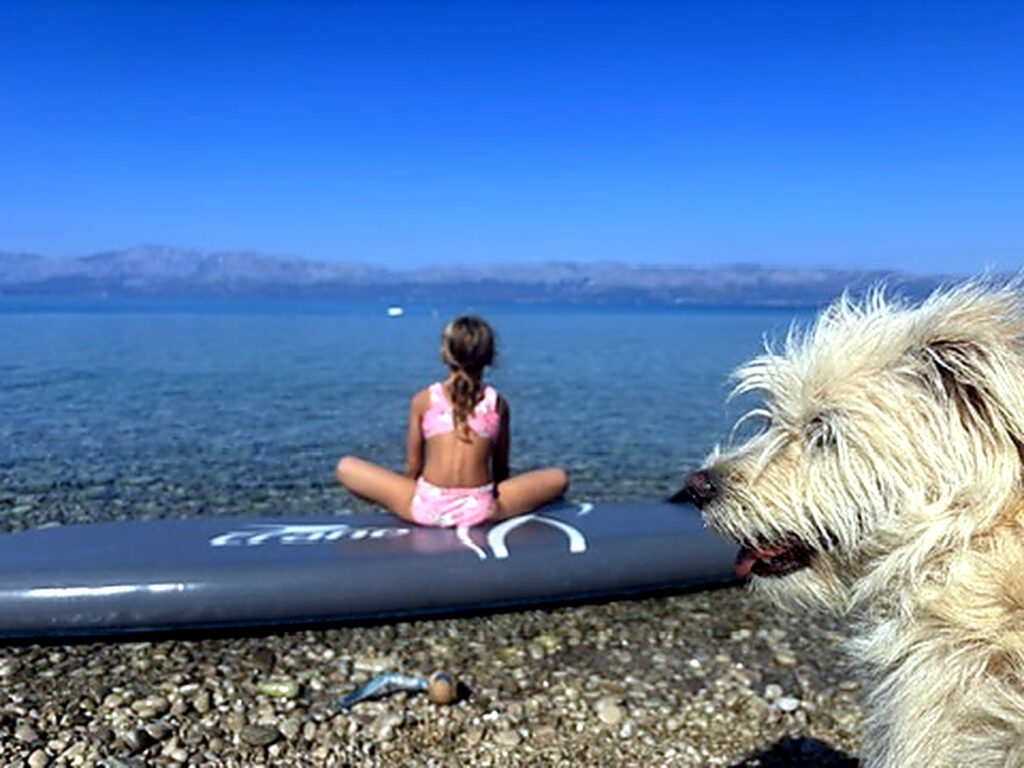 Hund beobachtet Maedchen auf dem SUP