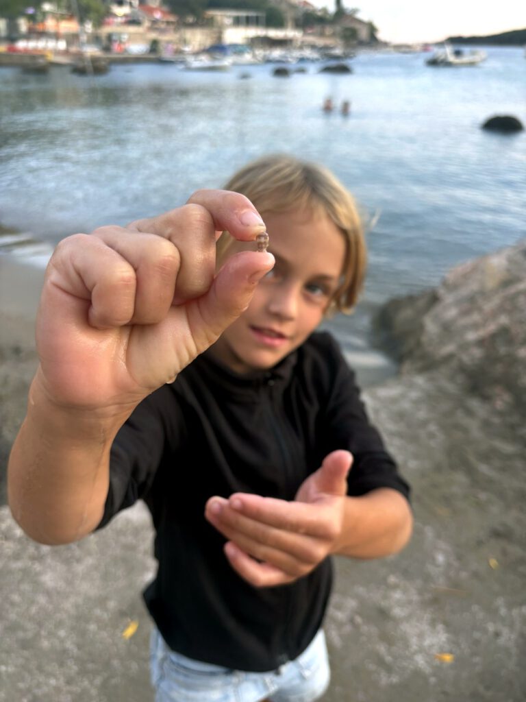 Junge zeigt die kleinste Muschel der Welt