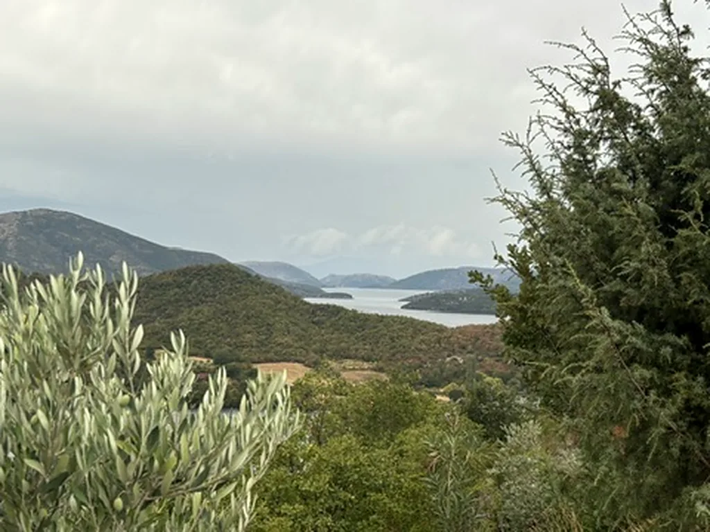 Olivenzweige und Nadelbäume im Vordergrund, dahinter Hügel und ein See unter grauem Himmel