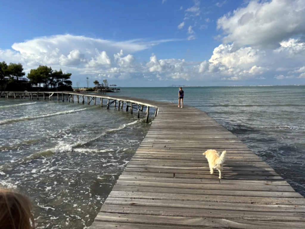 Ein Kind geht am Ende des Holzstegs, im Vordergrund läuft ein heller Hund