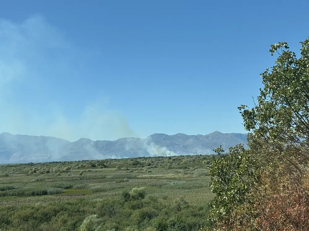 Rauchsaeulen vom Waldbrand am Skadarsee
