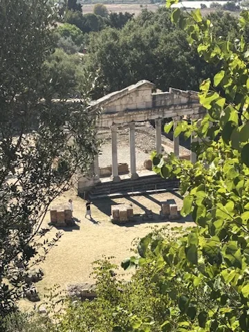 Blick zwischen Blättern hindurch auf die Säulenfassade des Buleuterions in Apollonia