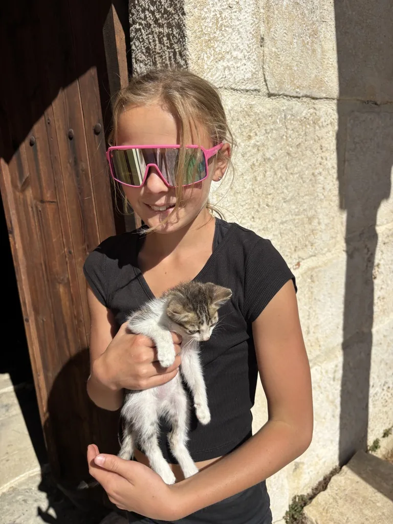 Ein Mädchen mit pinker Sportbrille hält ein getigertes Kätzchen vor einer Steinmauer